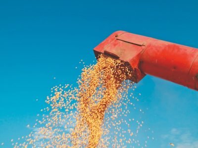 Os caminhos que levam à alta produtividade da soja