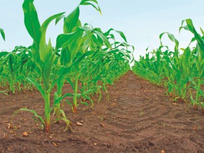 60a332da-d829-4ea4-a07d-ac5ab8dcd6c1-1024x682