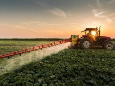 614a552399200 (Telefone)