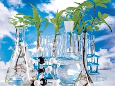 Hortifrúti julho 2013