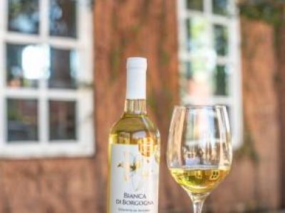 75a364d3c8618cd26956324041b23270low