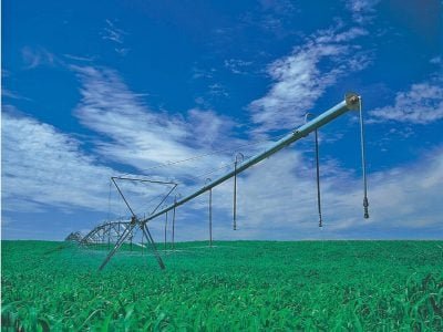 Práticas de manejo para otimizar o nitrogênio em cana-soca