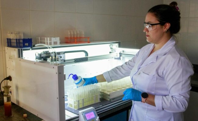 Divisão de pesquisa e desenvolvimento de solos e pesquisas de fertilizantes IAC. Campinas-SP. Foto: Gilberto Marques/SAA