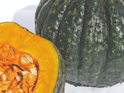 Abóbora tetsukabuto: Variedades que têm feito a diferença