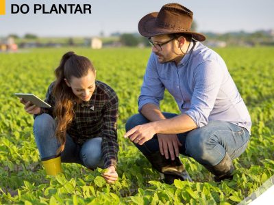 Mosaic Fertilizantes expande sua presença no Norte e Nordeste