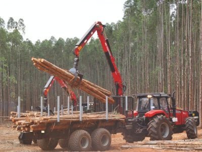 Quais as técnicas de corte ampliam produtividade?