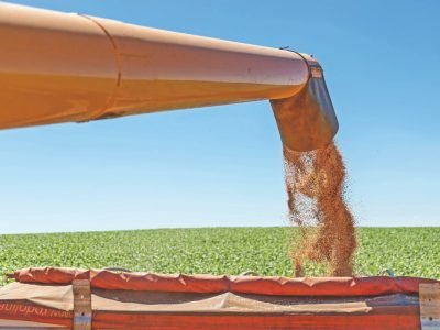 Resultados positivos dentro do sistema de produção com o trigo e soja