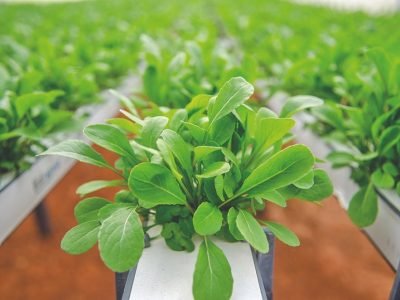 949328c5-fa03-4b9f-a67f-2e8bb26e9f37