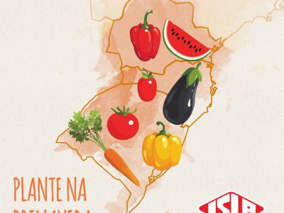 Mapa - Crédito: ISLA Sementes
