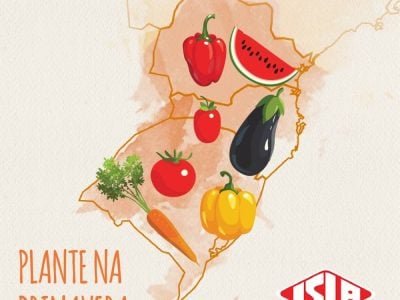 Mapa - Crédito: ISLA Sementes