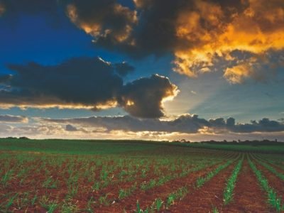 963b85eb-83f3-4504-8693-ad4c8cf9fce5-1024x683