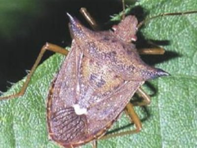 98cf818bd4004c34bb0dafd4f3ed6c0e_858x483