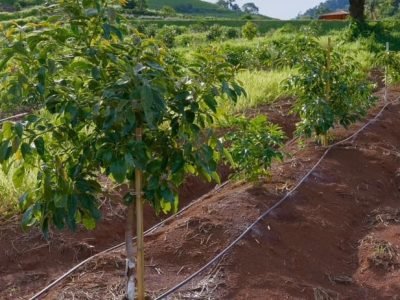 9=IDZ6YWM2czYmpjci5SbvNmLz9Waj92Zl5WZvBXbhNWY0NXa2VmcAFWayFWbh5WY6YzN0cDNyITMzIjOnVGcq5ydvxmNzMDNxkzNiZDZlhzMzE2N0YjN2MTOwATZkdTM0QDO3YkMlQDO3YkMlQzNxUTMGJTJzMDN3cDM3QjNy8VL1ETLf9VLwITLfpjM