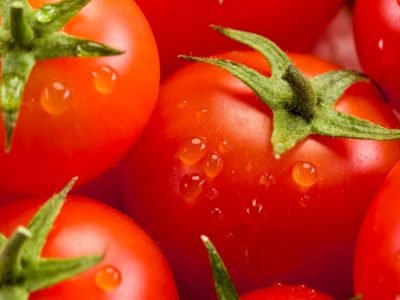 8º Seminário de Tomate de Mesa