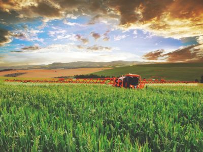 O Fosfito proporciona mais eficiência e menos defensivos e fertilizantes