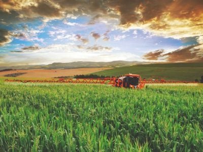 O Fosfito proporciona mais eficiência e menos defensivos e fertilizantes