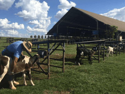 Crédito Arquivo Pessoal