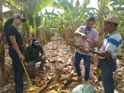 A-implantação-dos-sensores-já-começou-Foto-divulgação-1