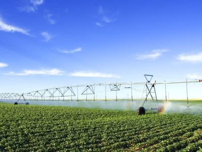 A-irrigação-agrícola-e-sua-fundamental-importância-Crédito-Shutterstock