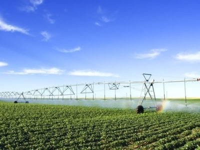 A-irrigação-agrícola-e-sua-fundamental-importância-Crédito-Shutterstock