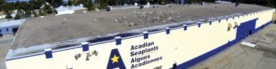 ACADIAN-FOTO-FABRICA-DIVULGACAO (Médio)