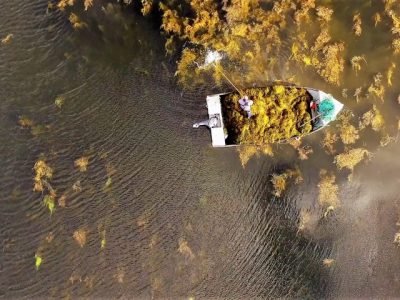 ACADIAN-estresse-climatico-foto-divulgacao (Pequeno)
