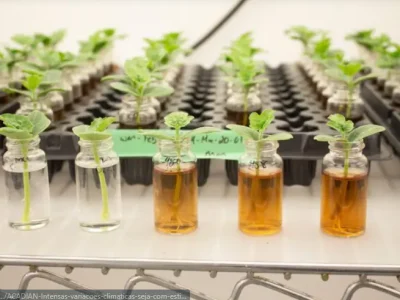 ACADIAN-participa-do-evento-abisolo