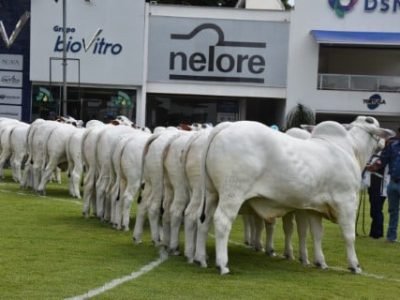 Arquivo