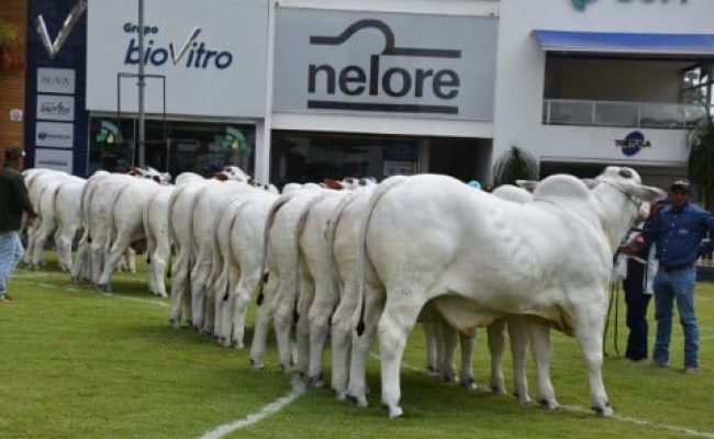 Arquivo