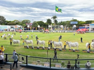 ACNB-Expoinel-em-Uberaba-encerrou-o-Ranking-Nacional-Nelore-com-mais-de-1000-animais-em-pista-Leiloes-faturaram-mais-de-R$-60-milhoes-foto-divugacao-2 (Pequeno)