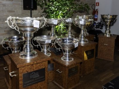 ACNB-Nelore-Fest-2024-premia-os-melhores-da-raca-Nelore-do-Brasil-Bolivia-e-Paraguai-foto-creditos-ZznPeres-3 (Pequeno)