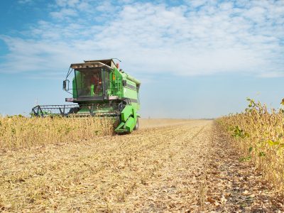 Produção agrícola - Crédito: Shutterstock