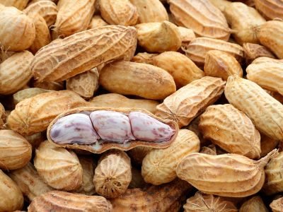 Amendoim - Crédito: shutterstock