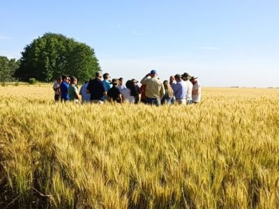 Grupo da Abitrigo visitou lavouras de trigo na Argentina / Divulgação