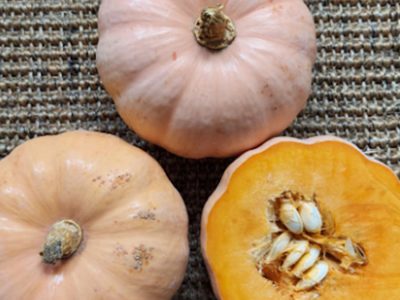 Abóbora - Fonte: Isla