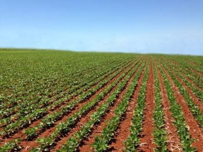 Crédito Cristiano Soares