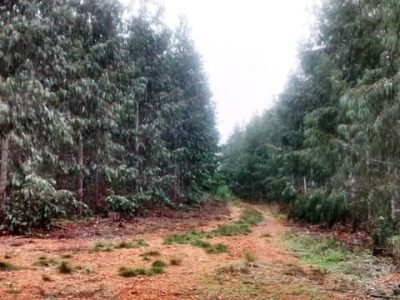 Crédito Gleison dos Santos