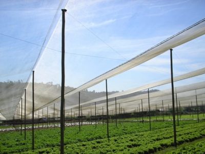 Crédito Herison Catarino da Hora