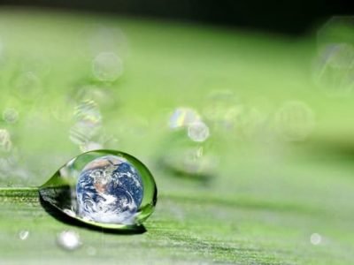 O estresse causado pela deficiência hÃ­drica é o principal fator limitante da produção agrícola mundial. Os sintomas vão de uma murcha foliar reversÃ­vel até a morte dos tecidos da planta, passando por redução da produtividade