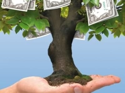 A escolha de uma determinada idade de corte pode maximizar a produção anual média de uma floresta, mas não necessariamente o resultado econômico - Crédito Shutterstock