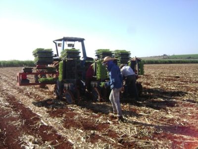 Créditos Abadia dos Reis