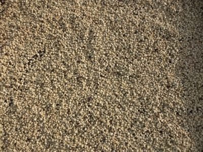 Abrir matéria - Créditos Divulgação