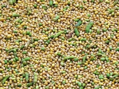 Créditos Embrapa Soja