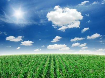 Crédito Shutterstock