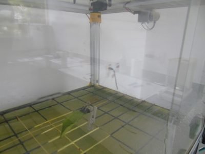 Método simula a pulverização e o impacto da água na fixação do defensivo agrícola sobre as folhas de um determinado cultivo