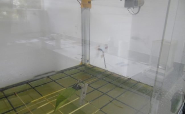 Método simula a pulverização e o impacto da água na fixação do defensivo agrícola sobre as folhas de um determinado cultivo