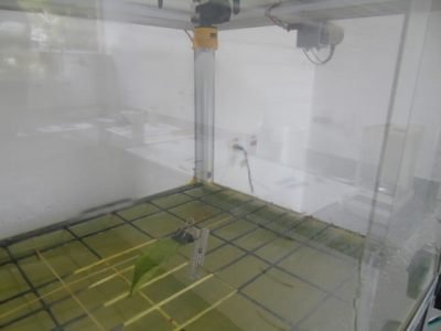 Método simula a pulverização e o impacto da água na fixação do defensivo agrícola sobre as folhas de um determinado cultivo