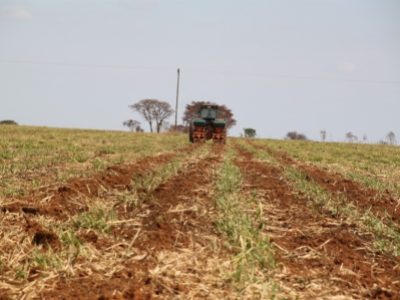 Adubação-38-Crédito-Luize-Hess-06-2020