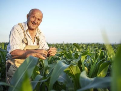 Agricultor - Foto: freepik