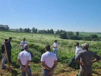 Agricultores-conhecem-as-inovacoes-nas-plantas-de-cobertura-Telefone